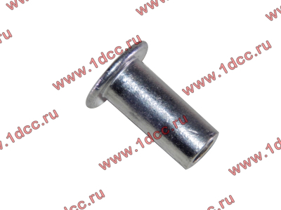 Заклепка алюминиевая 10х24 H2/H3 HOWO (ХОВО) 189000340068 AL фото 1 Вологда