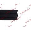 Ремень 8PK1725 DF/C CREATEK CREATEK C3911620/CK8041 фото 3 Вологда