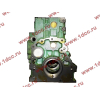 Блок цилиндров двигатель WD615E3 H3 HOWO (ХОВО) AZ109910078AR фото 5 Вологда
